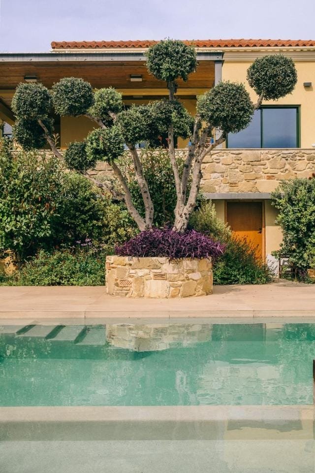 Pool and garden at Ariti Villa